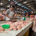 Pasokan di Ekspor ke Singapura, Harga Ayam Potong di Tanjungpinang Naik