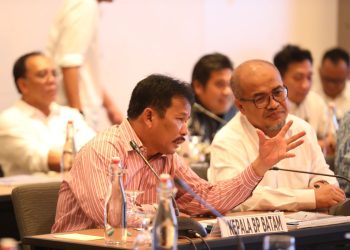 BP Batam Sampaikan Sasaran Strategis 2024 ke Komisi VI DPR RI