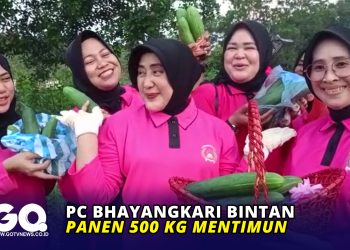 PC Bhayangkari Bintan Panen 500 Kg Mentimun