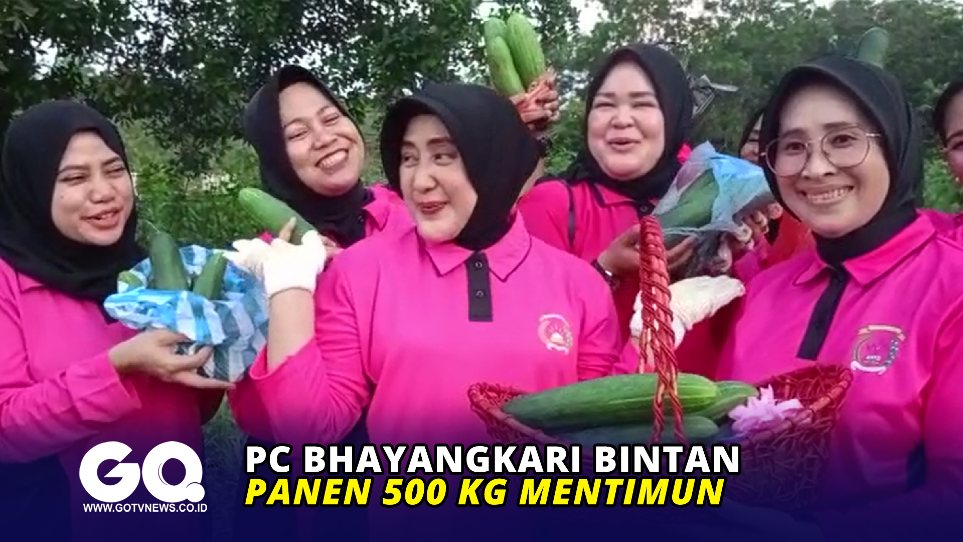 PC Bhayangkari Bintan Panen 500 Kg Mentimun
