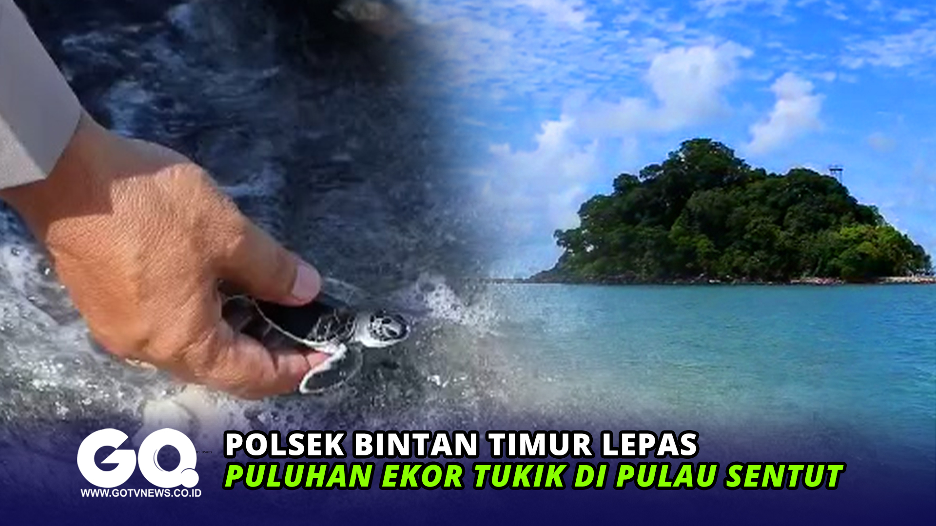 Polsek Bintan Timur Lepas Puluhan Ekor Tukik di Pulau Sentut