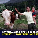 Rayanza alias Cipung Kurban Sapi Seberat 1,1 Ton Pakai Uang Sendiri