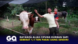 Rayanza alias Cipung Kurban Sapi Seberat 1,1 Ton Pakai Uang Sendiri