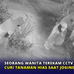 Seorang Wanita Terekam CCTV Curi Tanaman Hias saat Joging