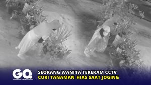 Seorang Wanita Terekam CCTV Curi Tanaman Hias saat Joging
