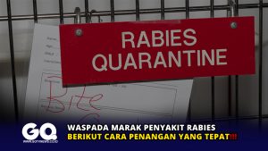 Waspada Marak Penyakit Rabies, Berikut Cara Penangan yang Tepat