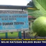 Wisata Nusantara, Taman Bukit Manuk Tanjungpinang Miliki Ratusan Koleksi Buah Tropis