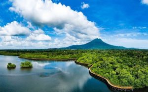 Pesona Mangrove Pering, Wisata Daya Tarik Kepri di Natuna