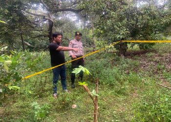 Kasus Pembuangan Bayi, LPA Batam: Mestinya Bisa Diselesaikan dengan RJ