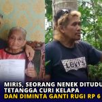 Miris, Seorang Nenek Dituduh Tetangga Curi Kelapa dan Diminta Ganti Rugi Rp 6 Juta