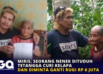 Miris, Seorang Nenek Dituduh Tetangga Curi Kelapa dan Diminta Ganti Rugi Rp 6 Juta