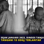 Sejak Januari 2023, Dinsos Tanjungpinang Tangani 13 ODGJ Terlantar