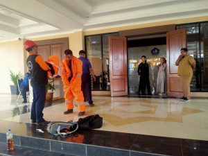 Anggota DPRD Bintan Diserang Tawon