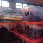 BPBD Kepri Kirim Bantuan Logistik Korban Kebakaran Pulau Buluh
