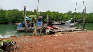 Puluhan Sapi dan Kambing Tanpa Dokumen Lengkap Diamankan Polisi di Pelabuhan Gentong Tanjung Uban