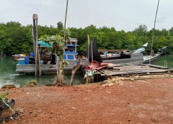 Puluhan Sapi dan Kambing Tanpa Dokumen Lengkap Diamankan Polisi di Pelabuhan Gentong Tanjung Uban