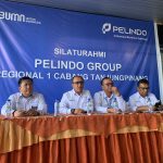 Pelindo Tanjungpinang Ajukan Penundaan Kenaikan Tarif Pas Pelabuhan