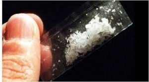 Oknum Polisi, PNS, Kades hingga Wartawan Digerebek saat Pesta Sabu