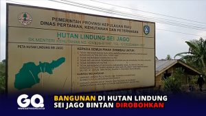 Bangunan di Hutan Lindung Sei Jago Bintan Dirobohkan