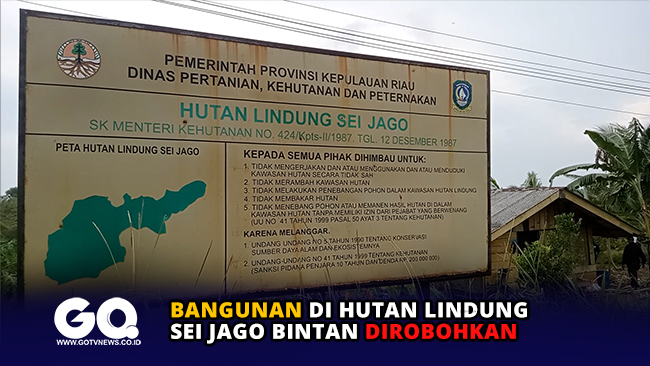 Bangunan di Hutan Lindung Sei Jago Bintan Dirobohkan