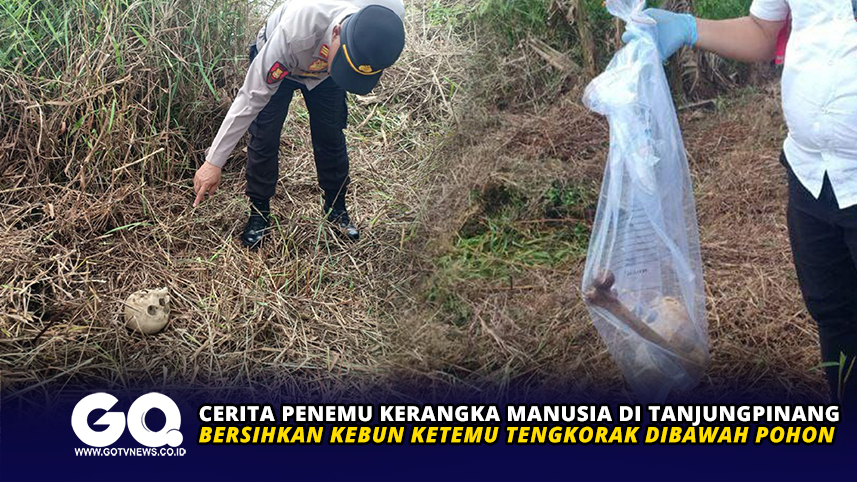 Cerita Penemu Kerangka Manusia di Tanjungpinang, Bersihkan Kebun Ketemu Tengkorak Dibawah Pohon