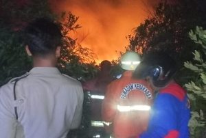 Sehari Tiga Kebakaran Lahan Terjadi di Kota Tanjungpinang
