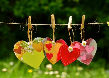 Ramalan Shio Ayam 25 Agustus 2023, Berpotensi Bertemu Jodoh Saat Liburan.