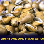 Limbah Gonggong Diolah Jadi Pakan Ternak