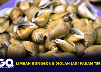 Limbah Gonggong Diolah Jadi Pakan Ternak