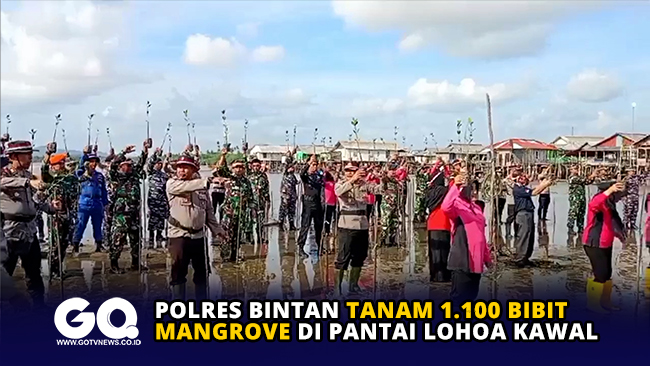Polres Bintan Tanam 1.100 Bibit Mangrove di Pantai Lohoa Kawal