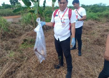 Warga Sei Timun Dihebohkan dengan Penemuan Tulang Manusia