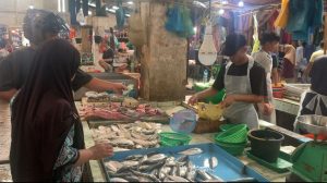 Nelayan Tak Melaut, Harga Ikan di Pasar Bincen Tanjungpinang Mulai Naik