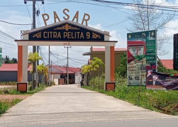 Maling Motor Beraksi Di Perumahan Citra Pelita 9 Km.16 Bintan.