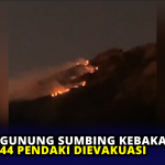 Gunung Sumbing Kebakaran, 44 Pendaki Dievakuasi