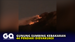Gunung Sumbing Kebakaran, 44 Pendaki Dievakuasi