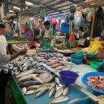 Harga Ikan Laut di Pasar Bincen Tanjungpinang Naik, Ikan Selar Rp 50 Ribu Per Kg