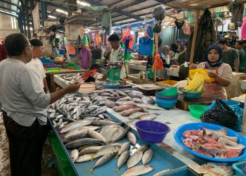 Harga Ikan Laut di Pasar Bincen Tanjungpinang Naik, Ikan Selar Rp 50 Ribu Per Kg