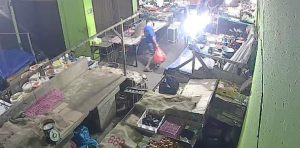 Waspada, Maling Ayam Beraksi di Pasar Barek Motor Kijang