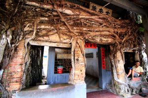Eksotisme Wisata Klenteng Pohon Akar di Tanjungpinang
