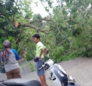 Cerita Anak Korban Selamat Insiden Pohon Tumbang di Tanjungpinang