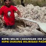 Kepri Miliki Cadangan 350 Juta Ton, HIPKI Dukung Hilirisasi Pasir Kuarsa