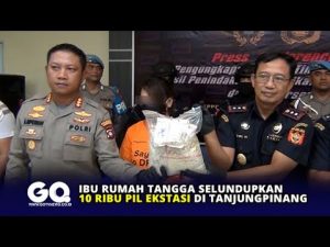 Ibu Rumah Tangga Selundupkan 10 Ribu Pil Ekstasi di Tanjungpinang