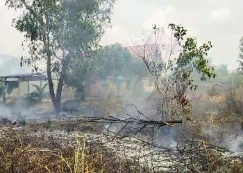 Kebakaran Lahan di Kawal Bintan Nyaris Merembet ke Pemukiman Warga