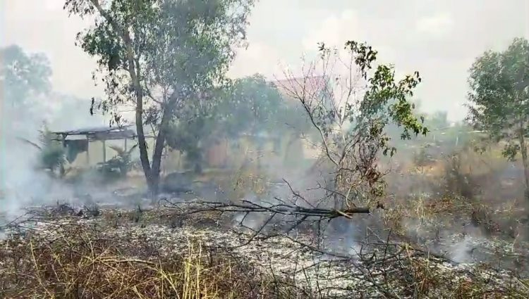 Kebakaran Lahan di Kawal Bintan Nyaris Merembet ke Pemukiman Warga
