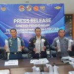 Tim Gabungan Gagalkan Penyelundupan Benih Lobster Senilai Rp 19 Miliar