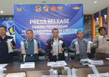 Tim Gabungan Gagalkan Penyelundupan Benih Lobster Senilai Rp 19 Miliar