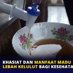 Khasiat dan Manfaat Madu Lebah Kelulut bagi Kesehatan