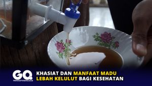 Khasiat dan Manfaat Madu Lebah Kelulut bagi Kesehatan