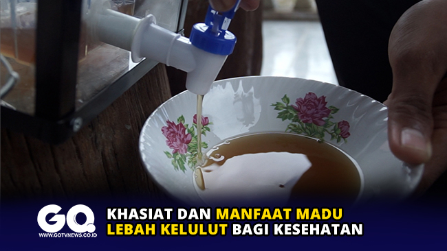 Khasiat dan Manfaat Madu Lebah Kelulut bagi Kesehatan