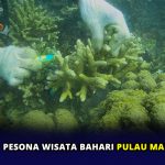 Pesona Wisata Bahari Pulau Mapur Bintan